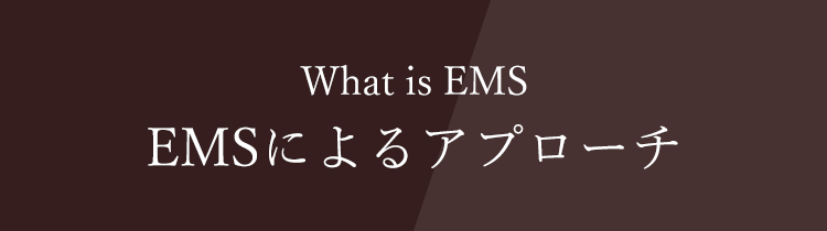 EMSによるアプローチ